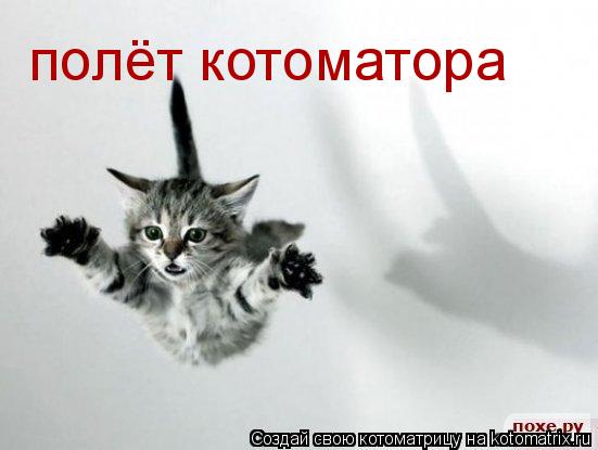 полёт котоматора... Котоматрица: полёт котоматора