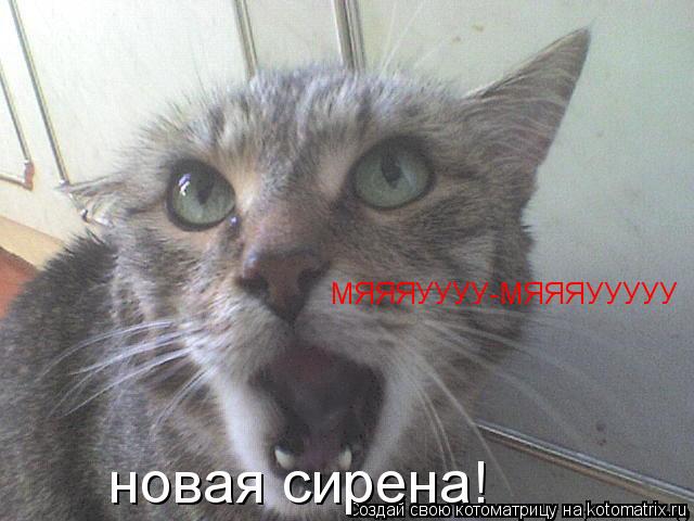 новая сирена! МЯЯЯУУУУ-МЯЯЯУУУУУ... Котоматрица: новая сирена! МЯЯЯУУУУ-МЯЯЯУУУУУ