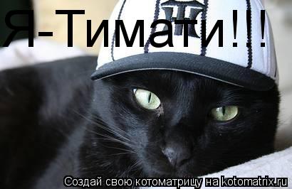 Я-Тимати!!!... Котоматрица: Я-Тимати!!!