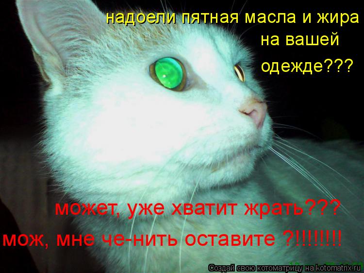 надоели пятная масла и жира на вашей одежде??? может, уже хватит жрать??? мож, мне че-нить оставите ?... Котоматрица: надоели пятная масла и жира на вашей одежде??? может, уже хватит жрать??? мож, мне че-нить оставите ?!!!!!!!!