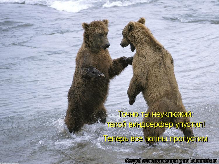 Теперь все волны пропустим Точно ты неуклюжий: такой виндсерфер упустил!... Котоматрица: Теперь все волны пропустим Точно ты неуклюжий: такой виндсерфер упустил!