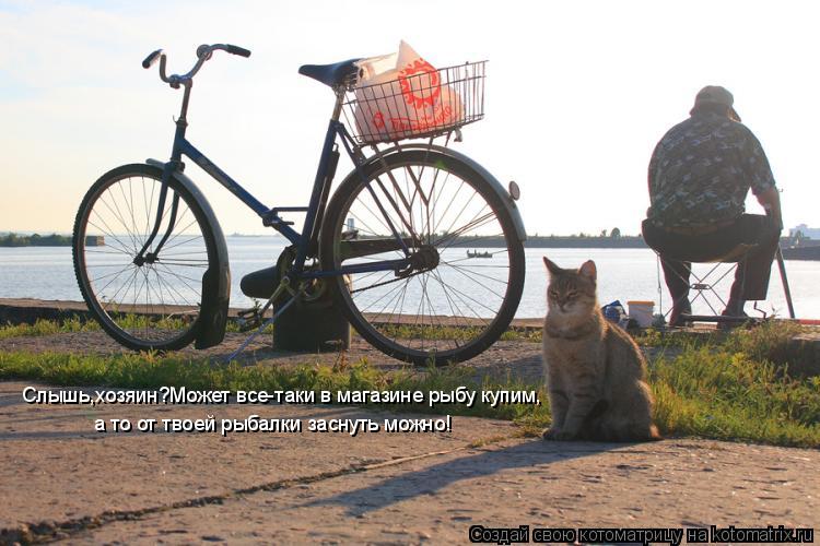 Слышь,хозяин?Может все-таки в магазине рыбу купим, а то от твоей рыбалки заснуть можно!... Котоматрица: Слышь,хозяин?Может все-таки в магазине рыбу купим, а то от твоей рыбалки заснуть можно!