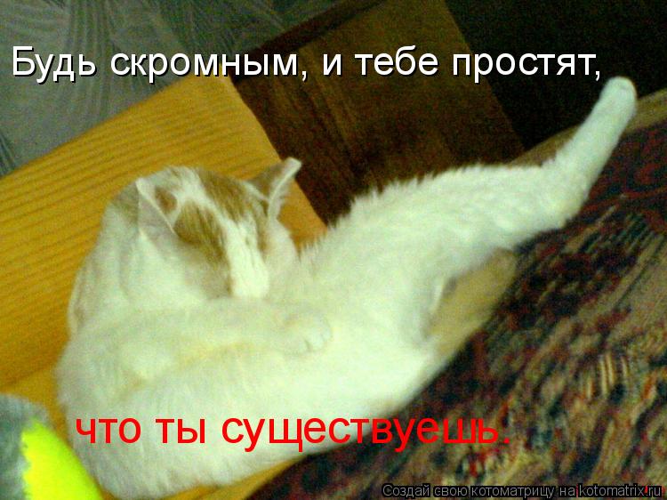 Будь скромным, и тебе простят, что ты существуешь.... Котоматрица: Будь скромным, и тебе простят, что ты существуешь.