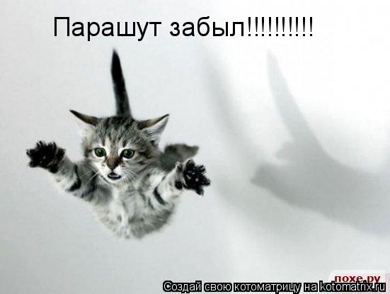 Парашут забыл!!!!!!!!!!... Котоматрица: Парашут забыл!!!!!!!!!!
