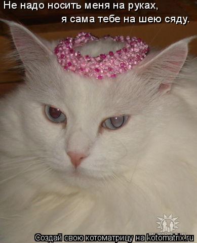 Не надо носить меня на руках, я сама тебе на шею сяду.... Котоматрица: Не надо носить меня на руках, я сама тебе на шею сяду.
