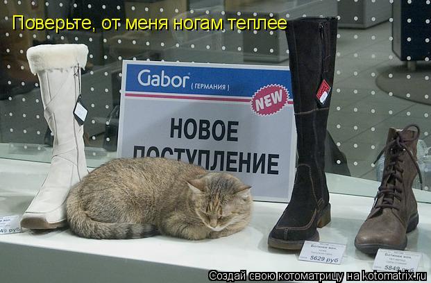 Поверьте, от меня ногам теплее... Котоматрица: Поверьте, от меня ногам теплее