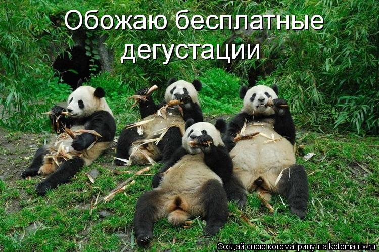 Обожаю бесплатные дегустации... Котоматрица: Обожаю бесплатные дегустации