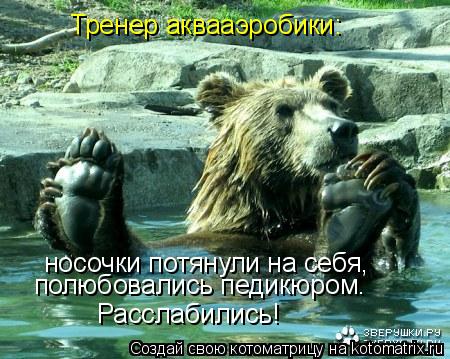 носочки потянули на себя, полюбовались педикюром. Расслабились! Тренер аквааэробики:... Котоматрица: носочки потянули на себя, полюбовались педикюром. Расслабились! Тренер аквааэробики:
