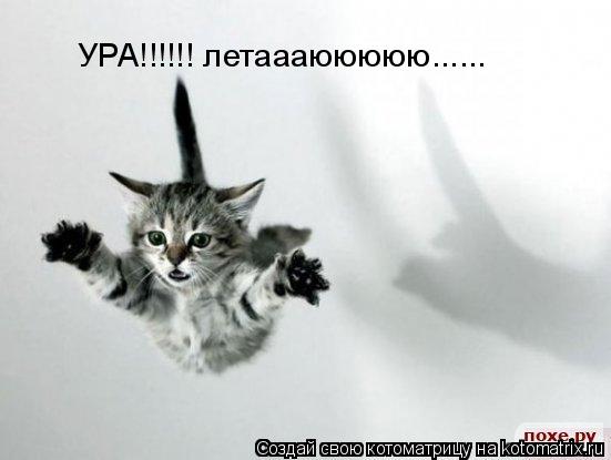 УРА!!!!!! летаааююююю......... Котоматрица: УРА!!!!!! летаааююююю......