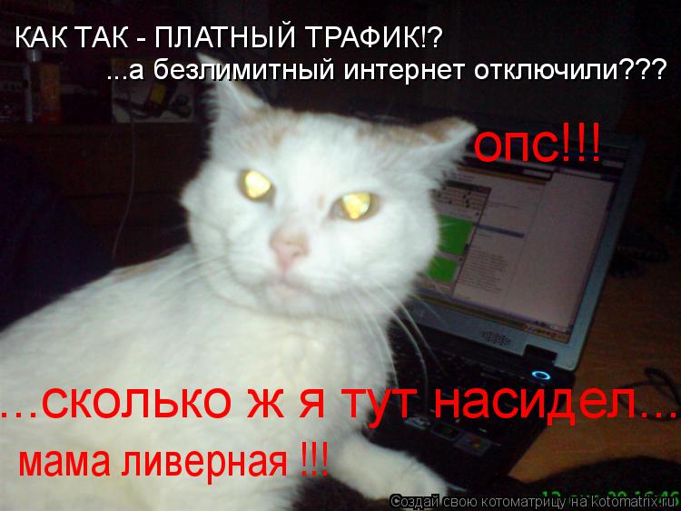 Котоматрица: КАК ТАК - ПЛАТНЫЙ ТРАФИК!? ...а безлимитный интернет отключили??? опс!!! ...сколько ж я тут насидел... мама ливерная !!!