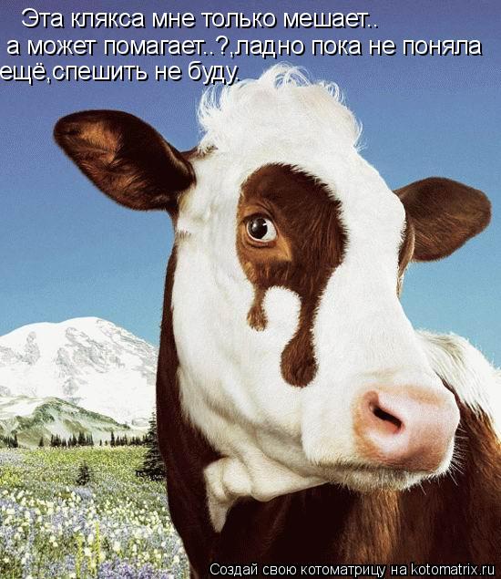 Эта клякса мне только мешает.. а может помагает..?,ладно пока не поняла ещё,спешить не буду.... Котоматрица: Эта клякса мне только мешает.. а может помагает..?,ладно пока не поняла ещё,спешить не буду.