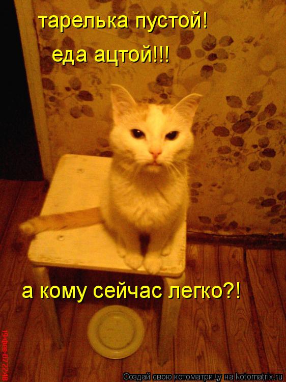 тарелька пустой! еда ацтой!!! а кому сейчас легко?!... Котоматрица: тарелька пустой! еда ацтой!!! а кому сейчас легко?!