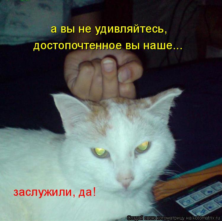 а вы не удивляйтесь, достопочтенное вы наше... заслужили, да!... Котоматрица: а вы не удивляйтесь, достопочтенное вы наше... заслужили, да!