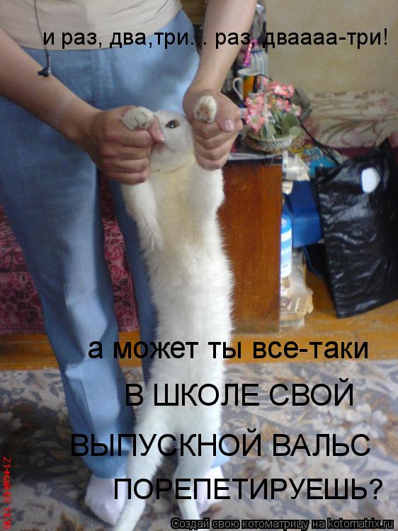 Котоматрица: и раз, два,три... раз, дваааа-три! а может ты все-таки В ШКОЛЕ СВОЙ  ВЫПУСКНОЙ ВАЛЬС ПОРЕПЕТИРУЕШЬ?