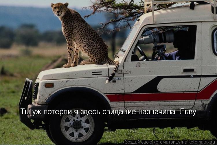 Ты уж потерпи,я здесь свидание назначила Льву.... Котоматрица: Ты уж потерпи,я здесь свидание назначила Льву.