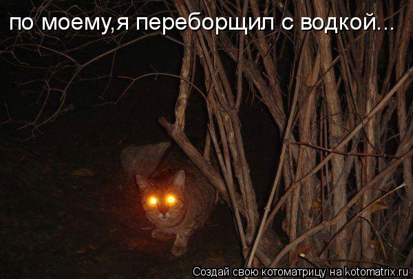 по моему,я переборщил с водкой...... Котоматрица: по моему,я переборщил с водкой...