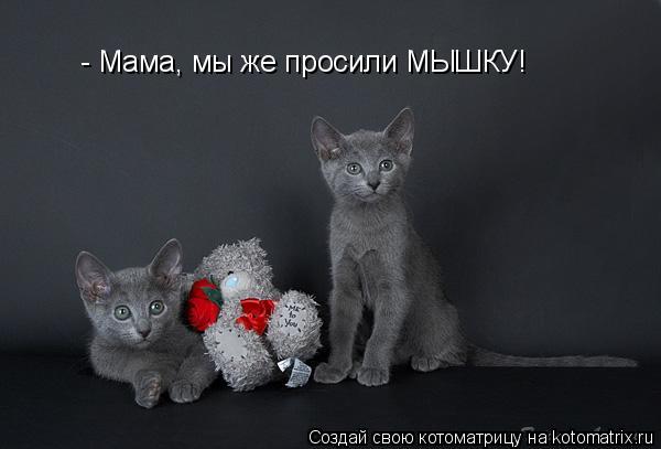 - Мама, мы же просили МЫШКУ!... Котоматрица: - Мама, мы же просили МЫШКУ!