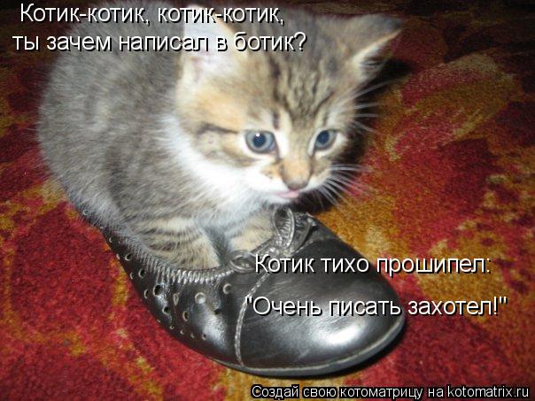 Котик-котик, котик-котик, ты зачем написал в ботик? Котик тихо прошипел: "Очень писать захотел!"... Котоматрица: Котик-котик, котик-котик, ты зачем написал в ботик? Котик тихо прошипел: "Очень писать захотел!"