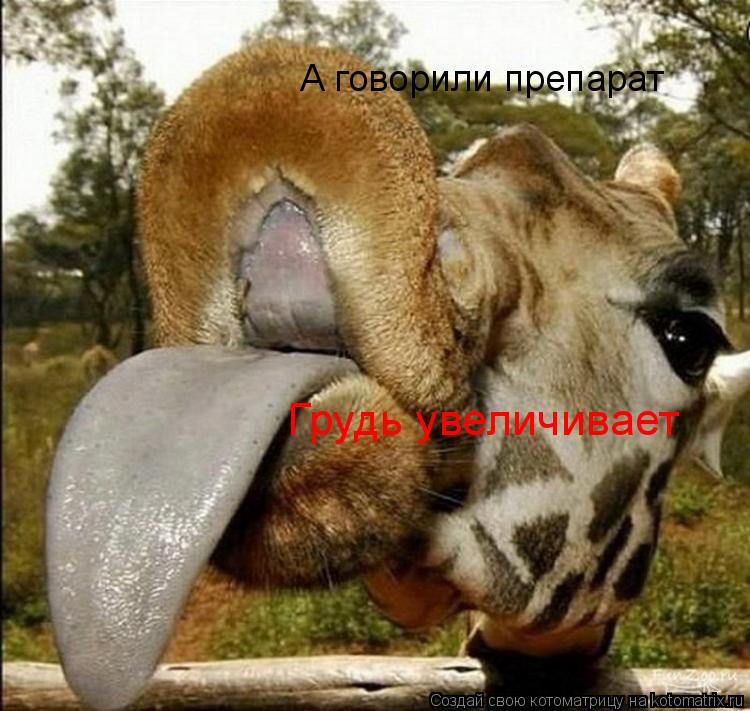 А говорили препарат Грудь увеличивает... Котоматрица: А говорили препарат Грудь увеличивает