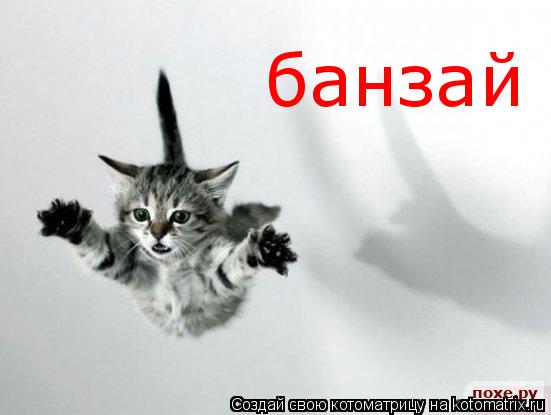 банзай... Котоматрица: банзай