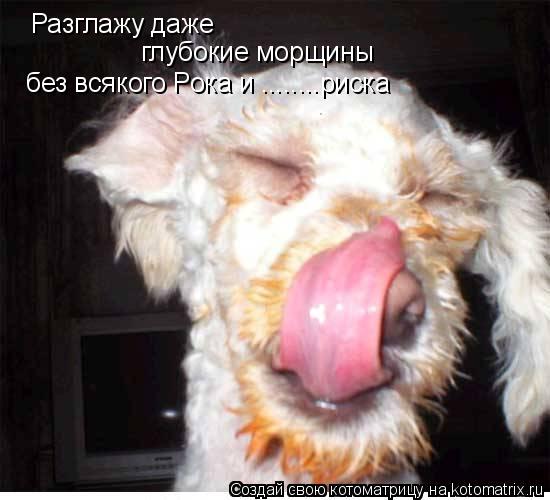 Разглажу даже глубокие морщины без всякого Рока и ........риска... Котоматрица: Разглажу даже глубокие морщины без всякого Рока и ........риска