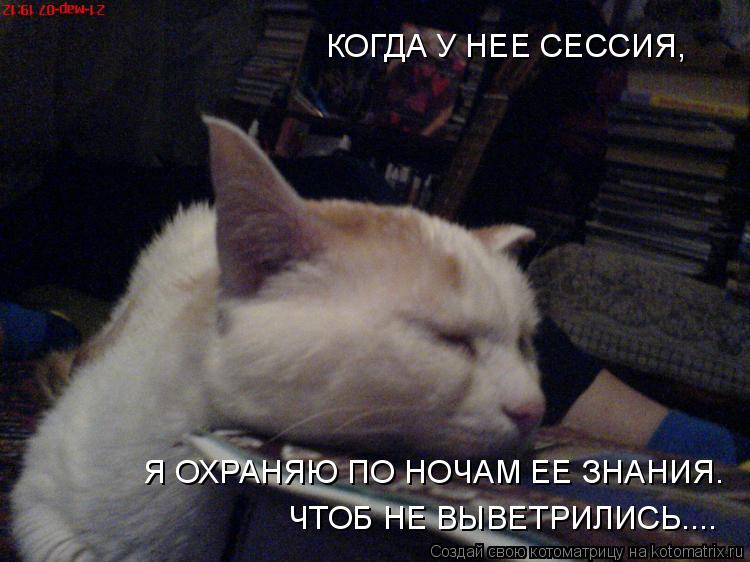 Котоматрица: КОГДА У НЕЕ СЕССИЯ, Я ОХРАНЯЮ ПО НОЧАМ ЕЕ ЗНАНИЯ. ЧТОБ НЕ ВЫВЕТРИЛИСЬ....