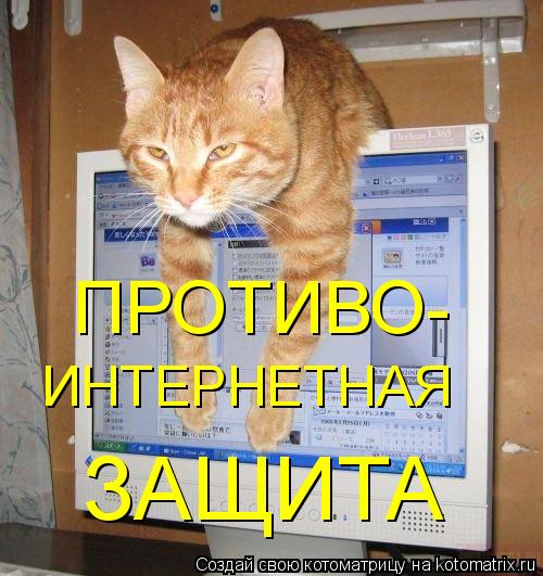 ПРОТИВО- ИНТЕРНЕТНАЯ ЗАЩИТА... Котоматрица: ПРОТИВО- ИНТЕРНЕТНАЯ ЗАЩИТА