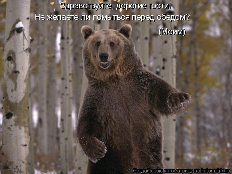 Здравствуйте, дорогие гости! Не желаете ли помыться перед обедом? (Моим)... Котоматрица: Здравствуйте, дорогие гости! Не желаете ли помыться перед обедом? (Моим)