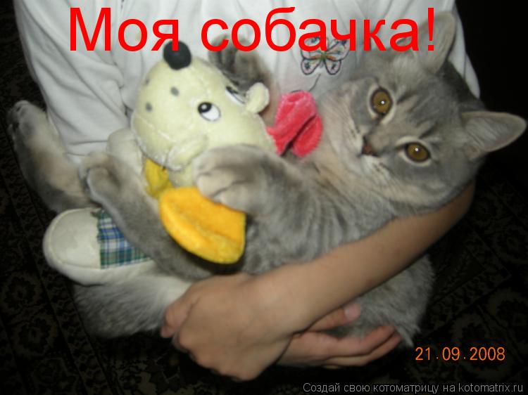 Моя собачка!... Котоматрица: Моя собачка!