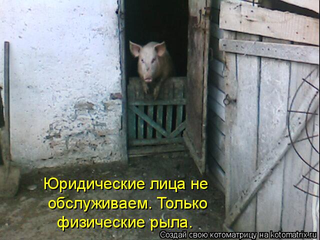 Юридические лица не обслуживаем. Только физические рыла.... Котоматрица: Юридические лица не обслуживаем. Только физические рыла.