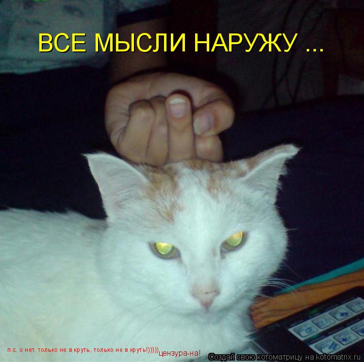 Котоматрица: ВСЕ МЫСЛИ НАРУЖУ ... п.с. о нет, только не в круть, только не в круть!))))) цензура-на!