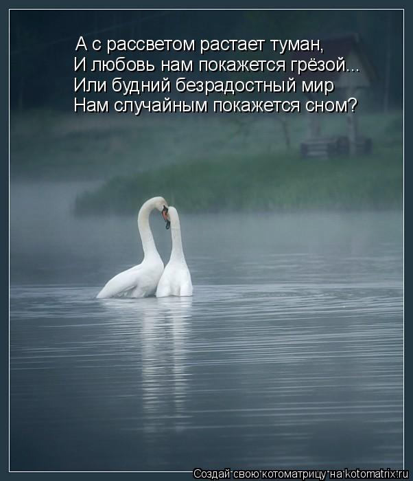 И любовь нам покажется грёзой... А с рассветом растает туман, Или будний безрадостный мир Нам случайн... Котоматрица: И любовь нам покажется грёзой... А с рассветом растает туман, Или будний безрадостный мир Нам случайным покажется сном?