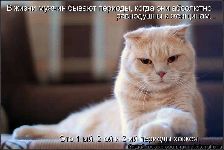 В жизни мужчин бывают периоды, когда они абсолютно равнодушны к женщинам... Это 1-ый, 2-ой и 3-ий п... Котоматрица: В жизни мужчин бывают периоды, когда они абсолютно равнодушны к женщинам... Это 1-ый, 2-ой и 3-ий периоды хоккея.