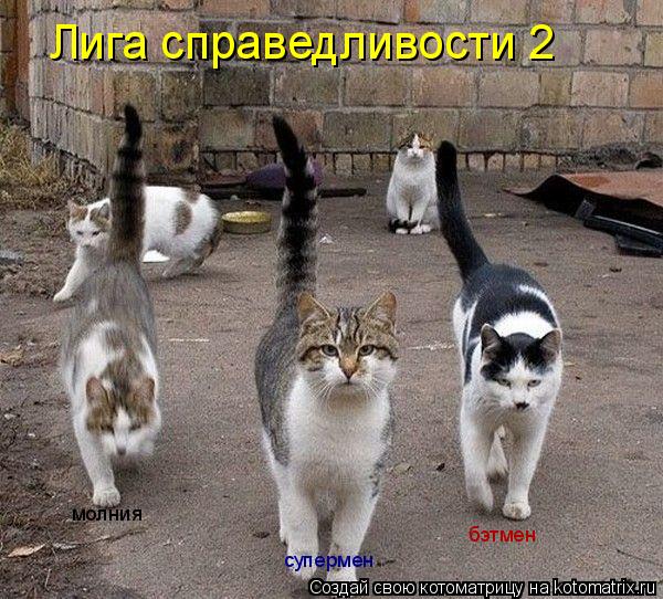 Лига справедливости 2 бэтмен супермен молния... Котоматрица: Лига справедливости 2 бэтмен супермен молния