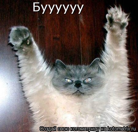 Буууууу... Котоматрица: Буууууу