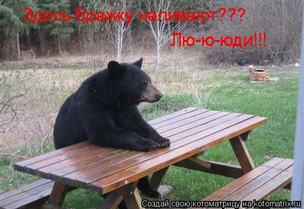 Здесь бражку наливают??? Здесь бражку наливают??? Лю-ю-юди!!! Лю-ю-юди!!!... Котоматрица: Здесь бражку наливают??? Здесь бражку наливают??? Лю-ю-юди!!! Лю-ю-юди!!!