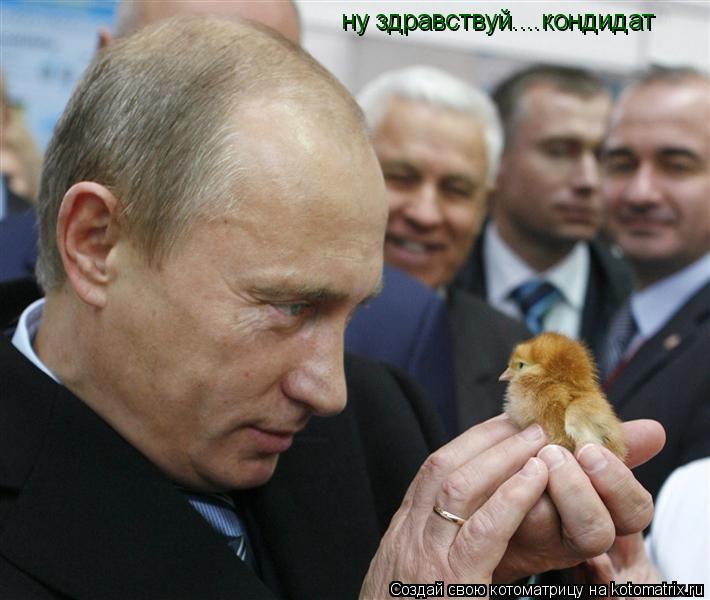 ну здравствуй....кондидат... Котоматрица: ну здравствуй....кондидат