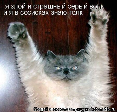 я злой и страшный серый волк и я в сосисках знаю толк... Котоматрица: я злой и страшный серый волк и я в сосисках знаю толк