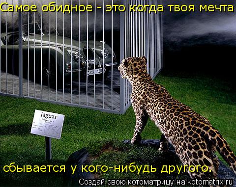 Самое обидное - это когда твоя мечта сбывается у кого-нибудь другого.... Котоматрица: Самое обидное - это когда твоя мечта сбывается у кого-нибудь другого.