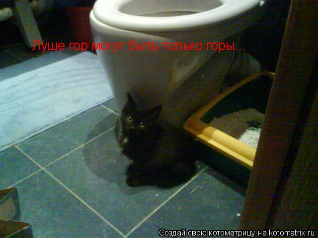 Котоматрица: Луше гор могут быть только горы...