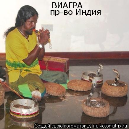 ВИАГРА пр-во Индия... Котоматрица: ВИАГРА пр-во Индия