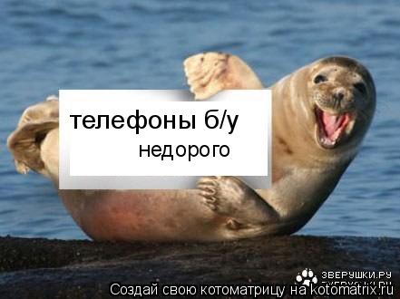 телефоны б/у недорого... Котоматрица: телефоны б/у недорого