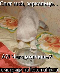Свет мой, зеркальце... А?! Чего молчишь?!... Котоматрица: Свет мой, зеркальце... А?! Чего молчишь?!