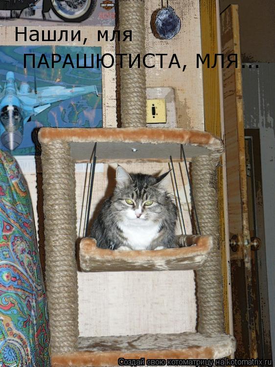 Нашли, мля ПАРАШЮТИСТА, МЛЯ...... Котоматрица: Нашли, мля ПАРАШЮТИСТА, МЛЯ...