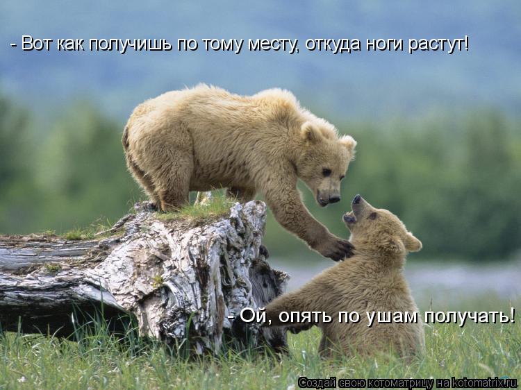 - Вот как получишь по тому месту, откуда ноги растут! - Ой, опять по ушам получать!... Котоматрица: - Вот как получишь по тому месту, откуда ноги растут! - Ой, опять по ушам получать!
