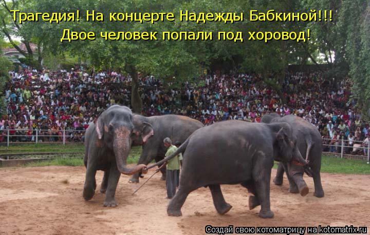 Трагедия! На концерте Надежды Бабкиной!!! Двое человек попали под хоровод!... Котоматрица: Трагедия! На концерте Надежды Бабкиной!!! Двое человек попали под хоровод!
