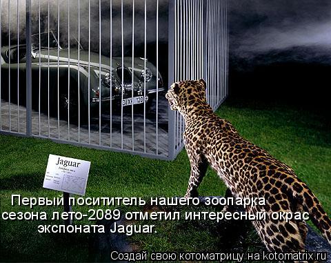 Первый посититель нашего зоопарка сезона лето-2089 отметил интересный окрас экспоната Jaguar.... Котоматрица: Первый посититель нашего зоопарка сезона лето-2089 отметил интересный окрас экспоната Jaguar.