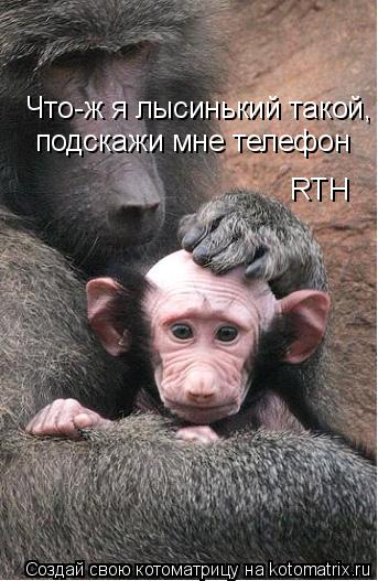 Что-ж я лысинький такой, подскажи мне телефон RTH Что-ж я лысинький такой, подскажи мне телефон RTH п... Котоматрица: Что-ж я лысинький такой, подскажи мне телефон RTH Что-ж я лысинький такой, подскажи мне телефон RTH подскажи мне телефон RTH RTH подскажи мне телеф