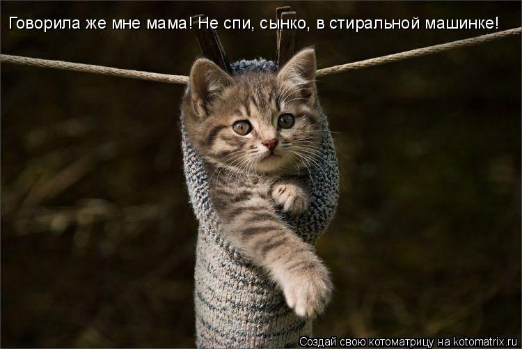 Говорила же мне мама! Не спи, сынко, в стиральной машинке!... Котоматрица: Говорила же мне мама! Не спи, сынко, в стиральной машинке!