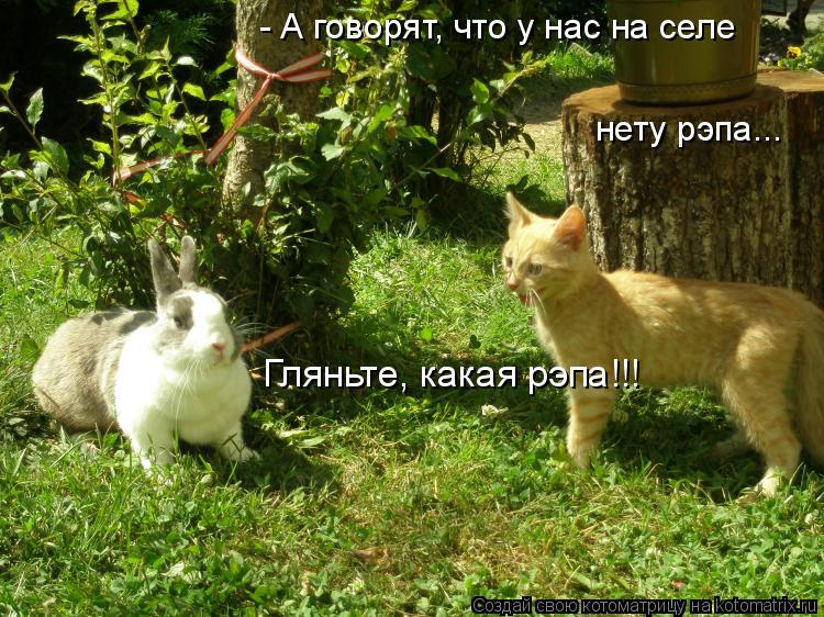 - А говорят, что у нас на селе нету рэпа... Гляньте, какая рэпа!!!... Котоматрица: - А говорят, что у нас на селе нету рэпа... Гляньте, какая рэпа!!!